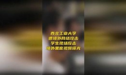 黑客最新爆料视频在线看,在线观看视频揭露网络世界暗流涌动